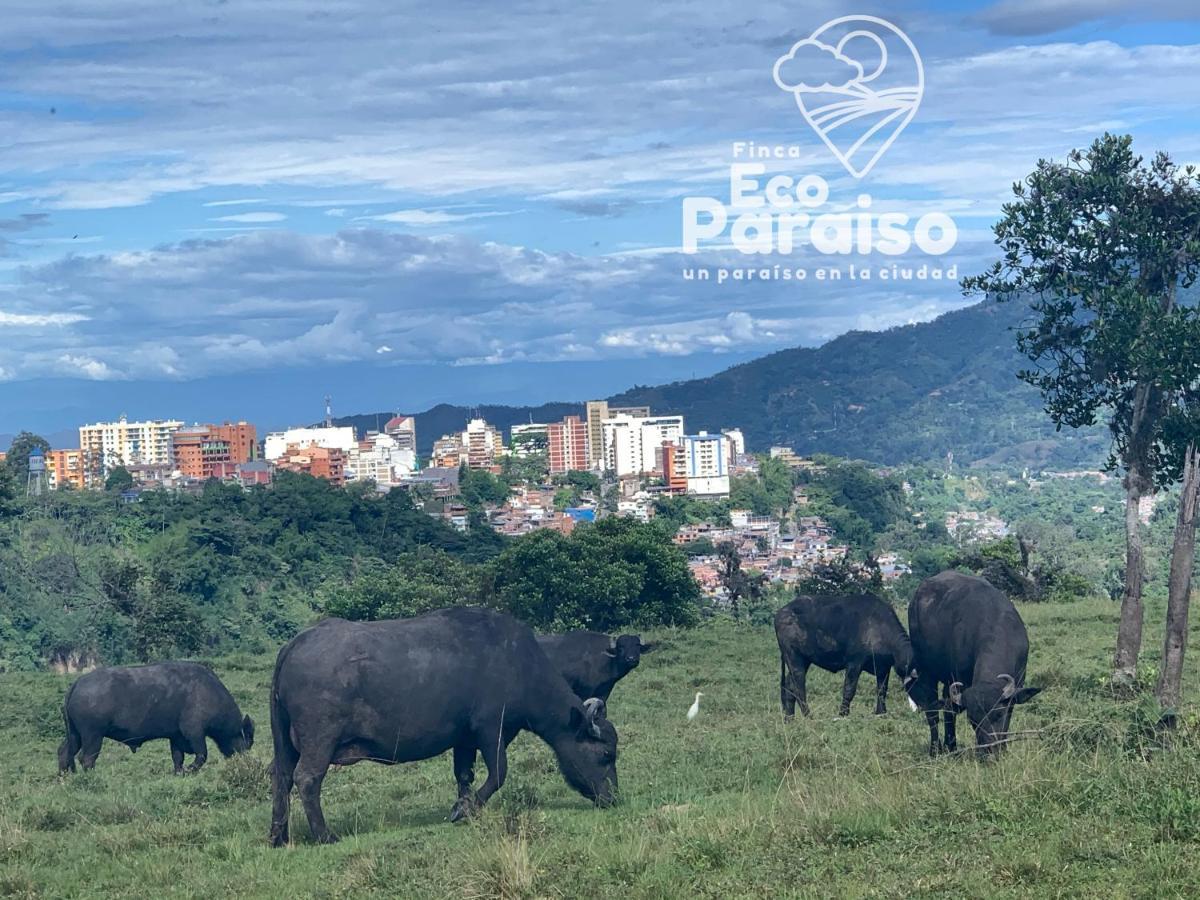 Finca Ecoparaiso Ibagué Buitenkant foto