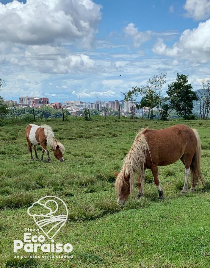Finca Ecoparaiso Ibagué Buitenkant foto