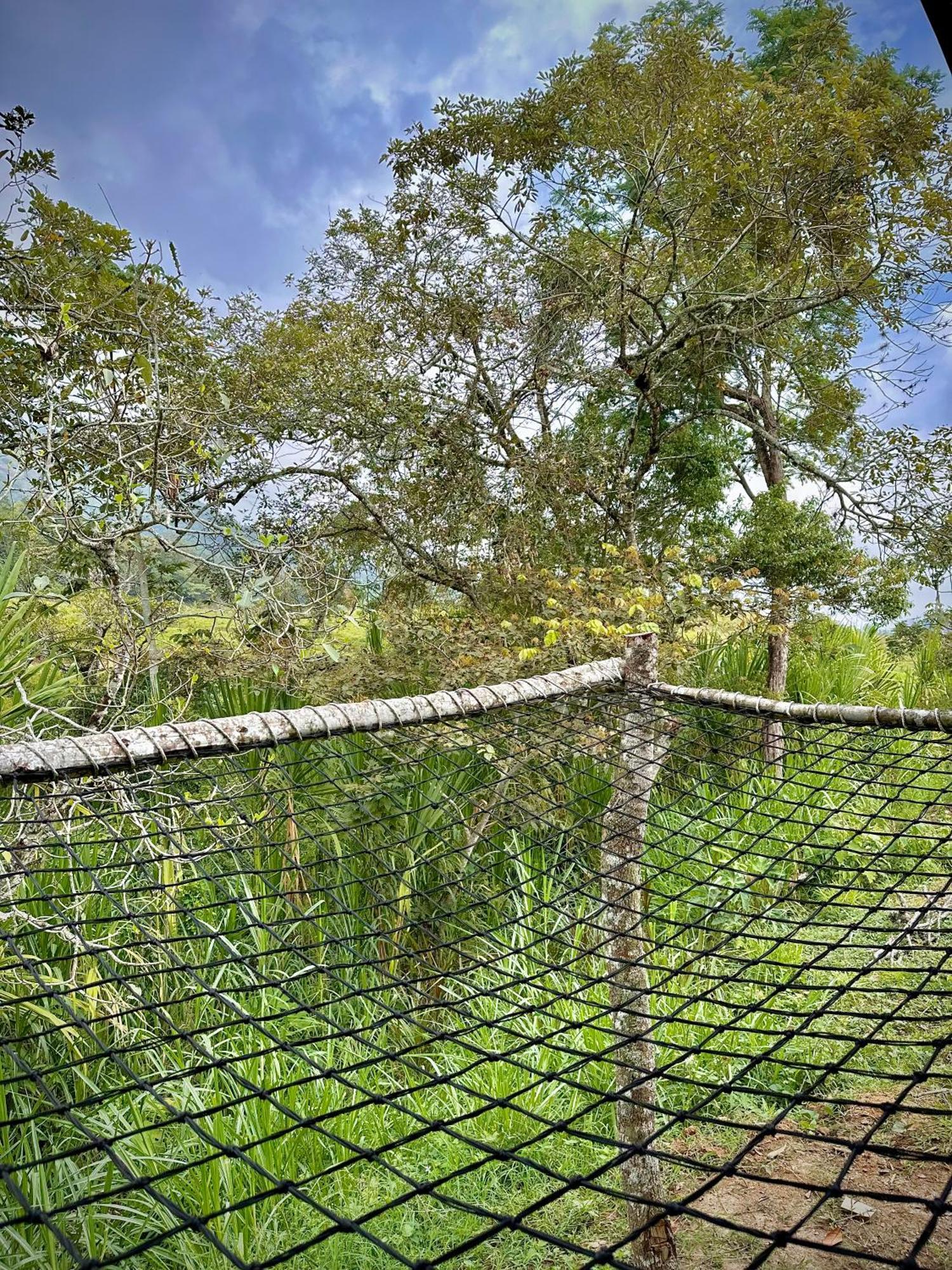 Finca Ecoparaiso Ibagué Buitenkant foto